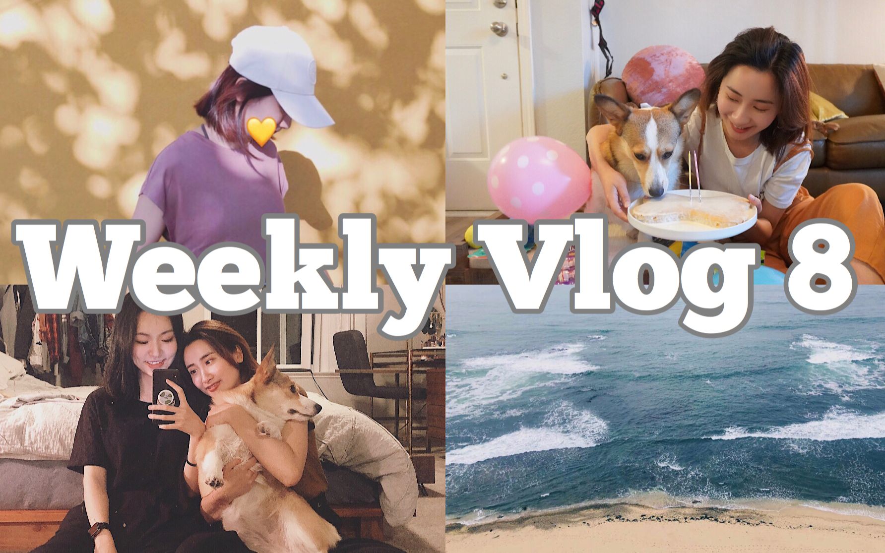 WEEKLY VLOG8| Morris两岁生日啦! | 牛牛来三番探亲 |TAOBAO 开箱 |丝芙兰/Reformation 开箱 |Hiking+吃吃吃哔哩哔哩bilibili