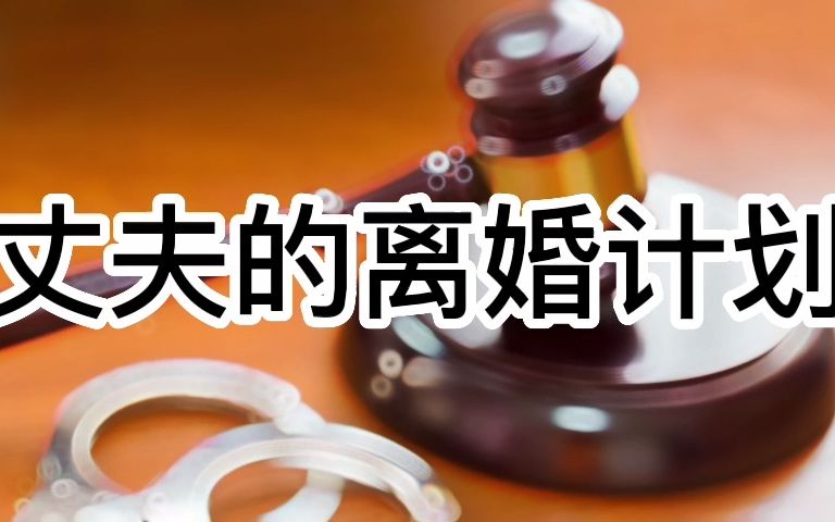 大案要案 丈夫的离婚计划哔哩哔哩bilibili