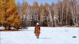 Download Video: 漫步秋色｜呼伦贝尔的秋天有雪后的浪漫