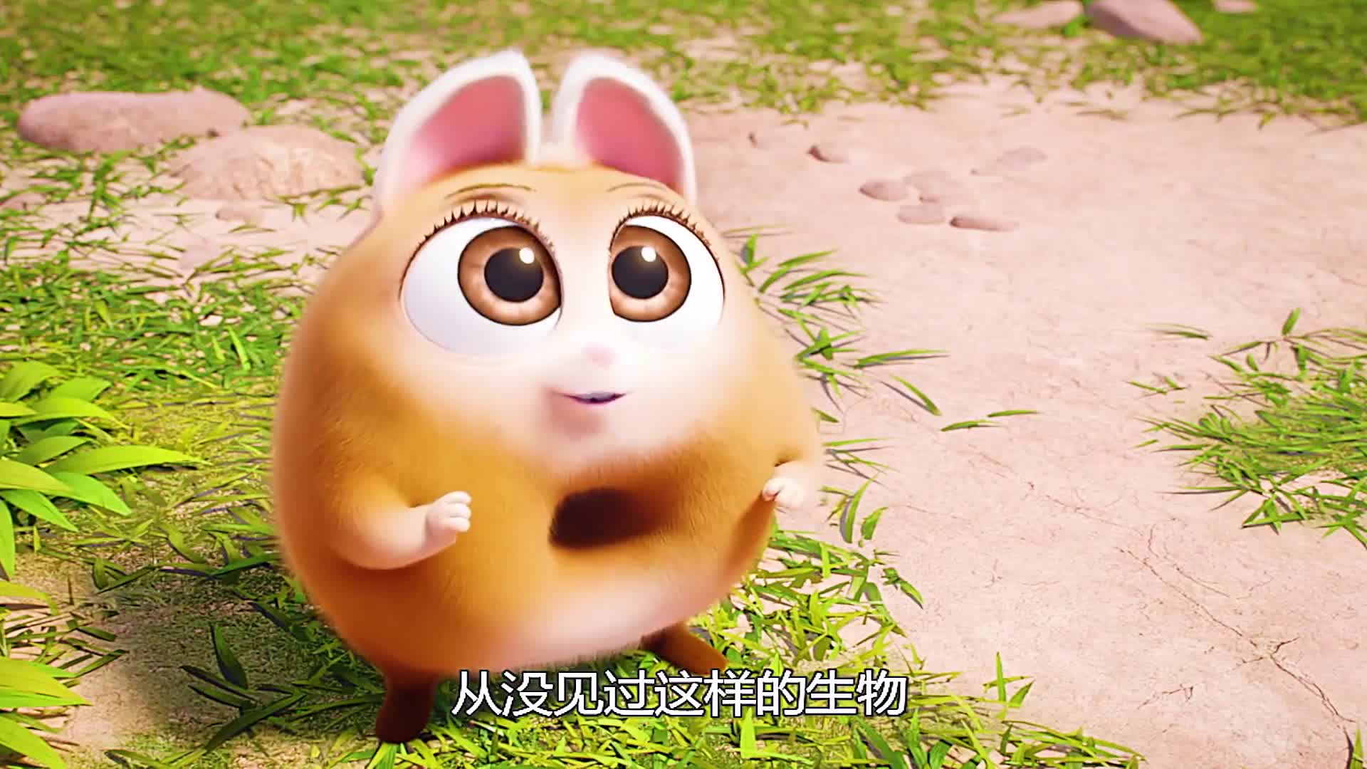 为了拯救种族灭绝命运 菲拉萌联合小白狗 穿越时空展开冒险!