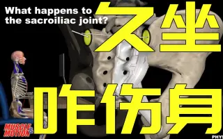 下背疼 搜索结果 哔哩哔哩弹幕视频网 つロ乾杯 Bilibili