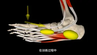 Download Video: 臀想练得好足弓功能少不了