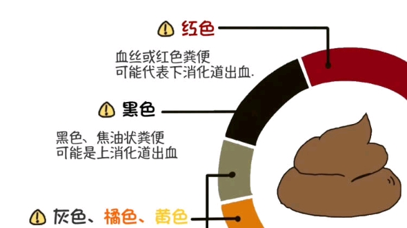 猫咪便便检查一览表,赶紧看看你家猫咪便便正常吗 #科学养宠攻略哔哩哔哩bilibili