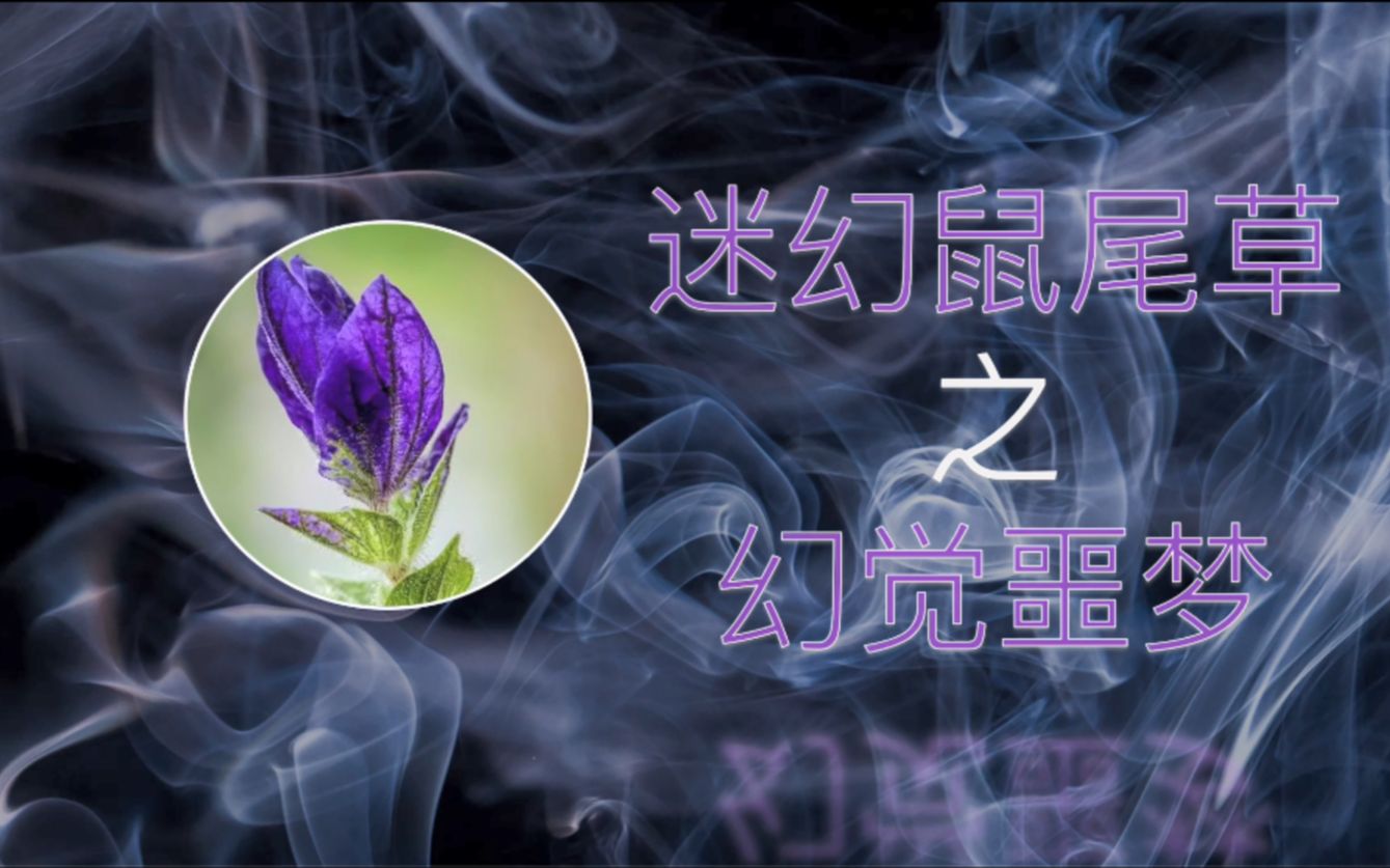 [图]【禁毒微课堂】迷幻鼠尾草之幻觉噩梦