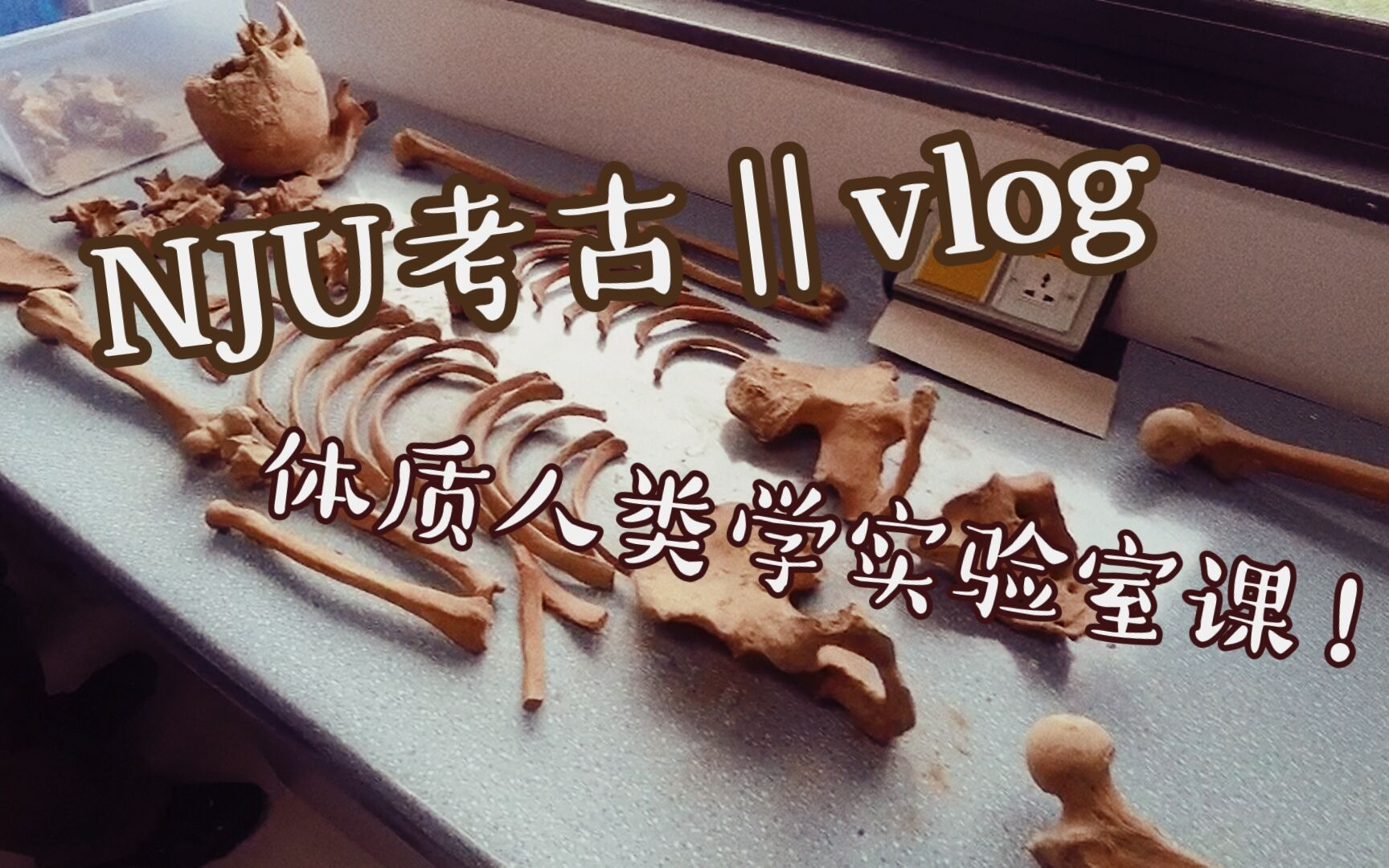 【NJU考古丨vlog】体质人类学终于来实验室上课了(泪目)!!!哔哩哔哩bilibili