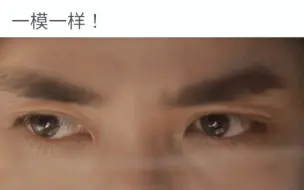 Download Video: 这才是不无脑降智的谍战剧特工男主好吧！