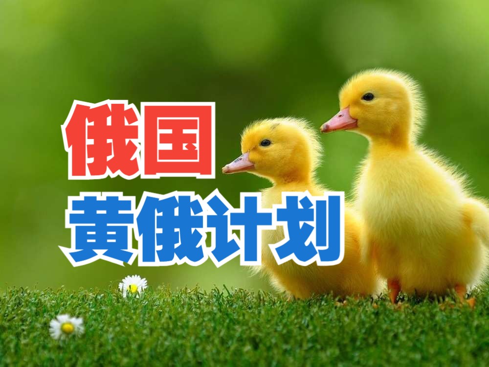 俄国的黄俄计划