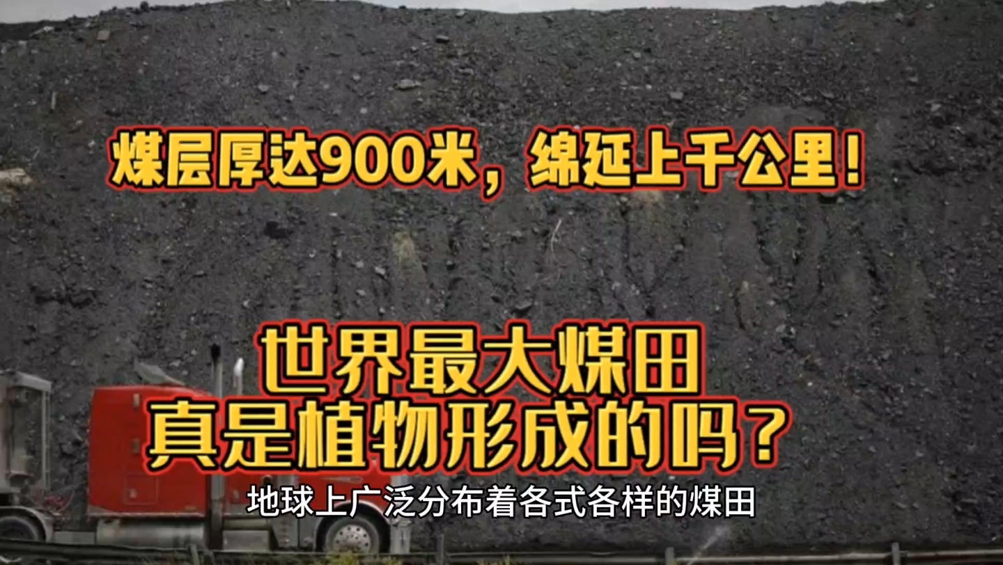 煤层厚达900米,绵延上千公里!世界最大煤田真是植物形成的吗?哔哩哔哩bilibili