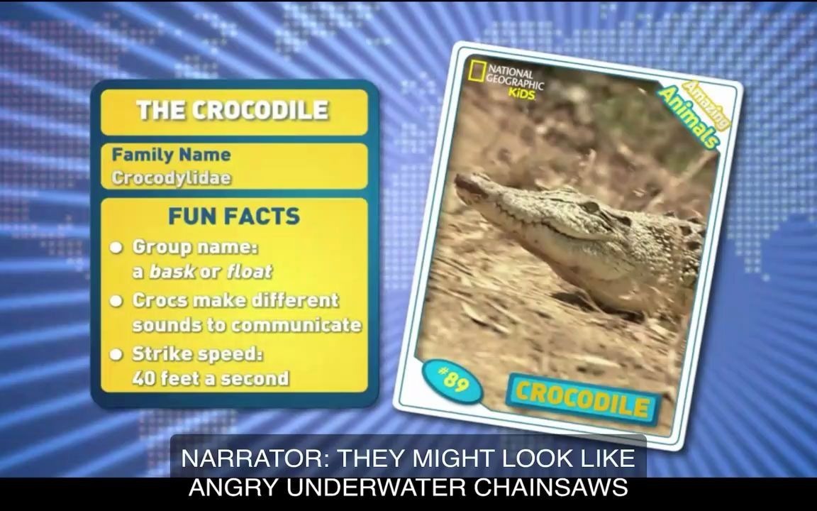 [图]Crocodile - 神奇的动物 Amazing Animals