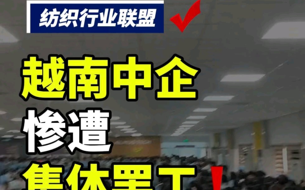 第189集丨越南一中企惨遭大罢工!6000名工人参与要涨工资 #纺织 #越南 #纺织行业 #纺织交流 #纺织交流群 #纺织面料 #纺织联盟 #纺织群哔哩哔哩bilibili