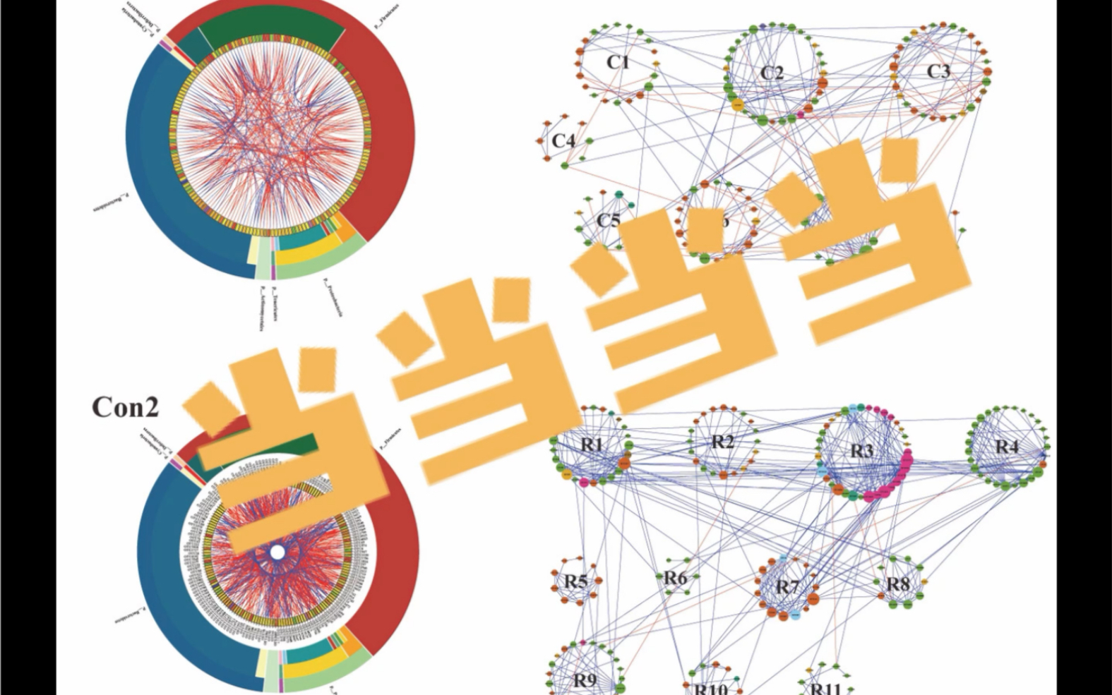 [图]Ｒ语言微生物数据可视化