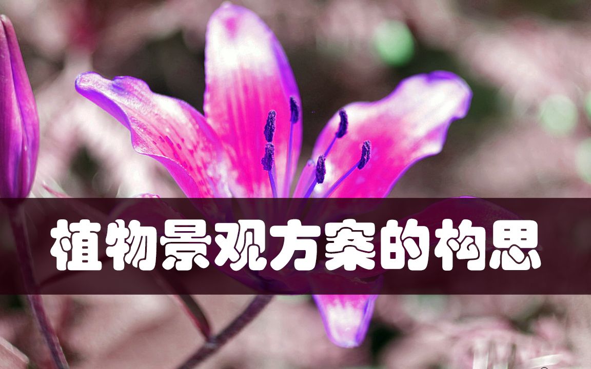 植物景观方案的构思哔哩哔哩bilibili