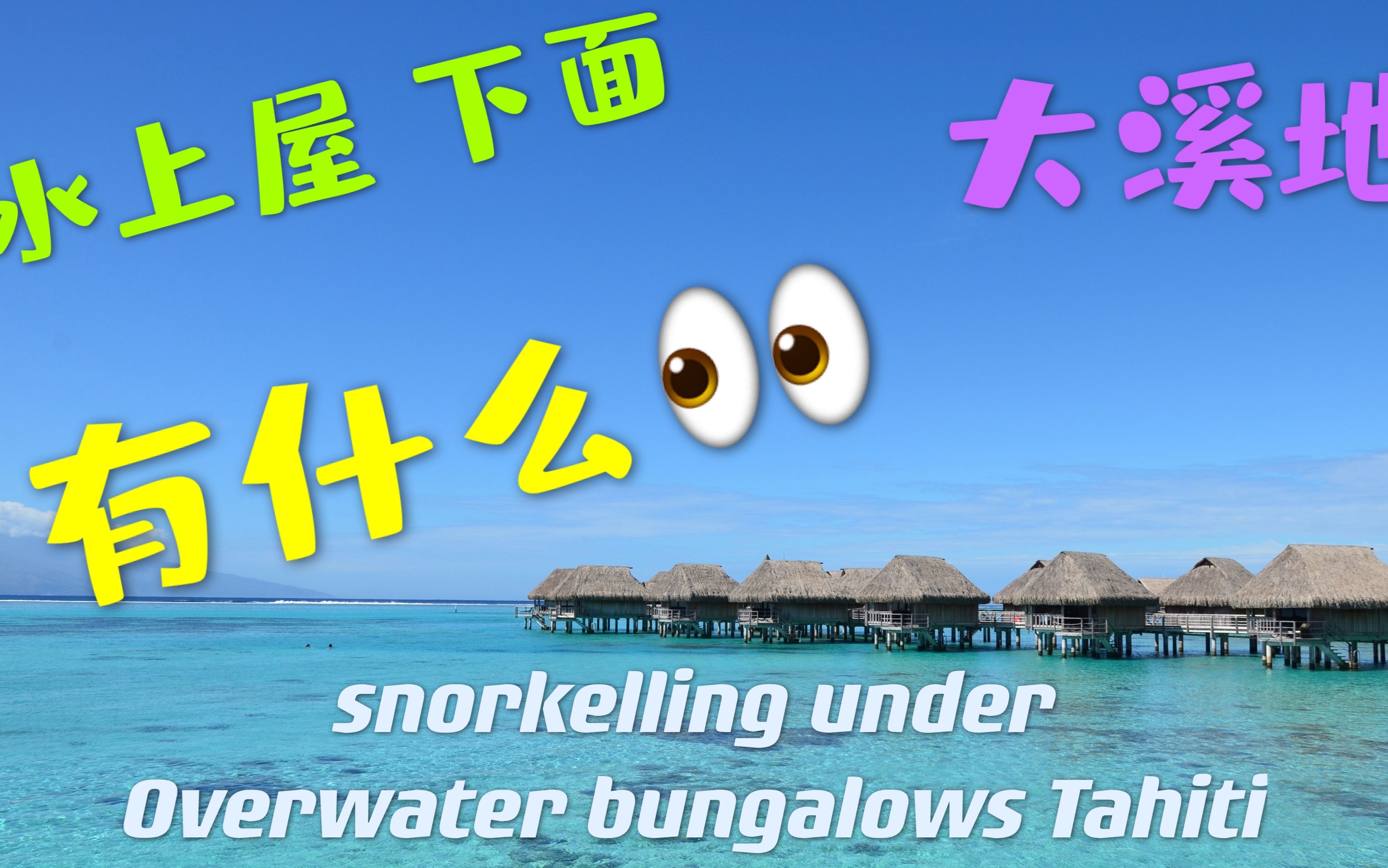 大溪地水上屋下面的海底世界  房间下面到底有什么 Snorkelling under overwater bungalows 体验水上屋有多好玩哔哩哔哩bilibili