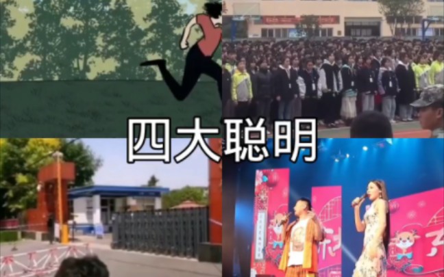 四大聪明哔哩哔哩bilibili