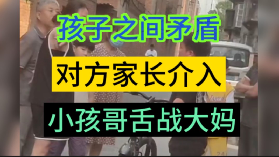 [图]网友爆料:孩子只之间争吵，大人插手，小孩哥舌战对方大妈，大妈不依不饶，最后双方家长发生了冲突