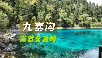 Descargar video: 九寨归来不看水！8月底的九寨沟美景全攻略