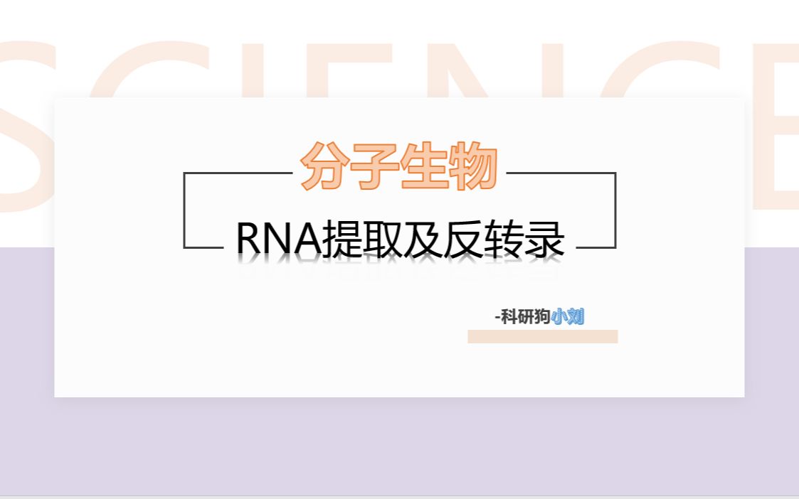 RNA提取及反转录步骤哔哩哔哩bilibili