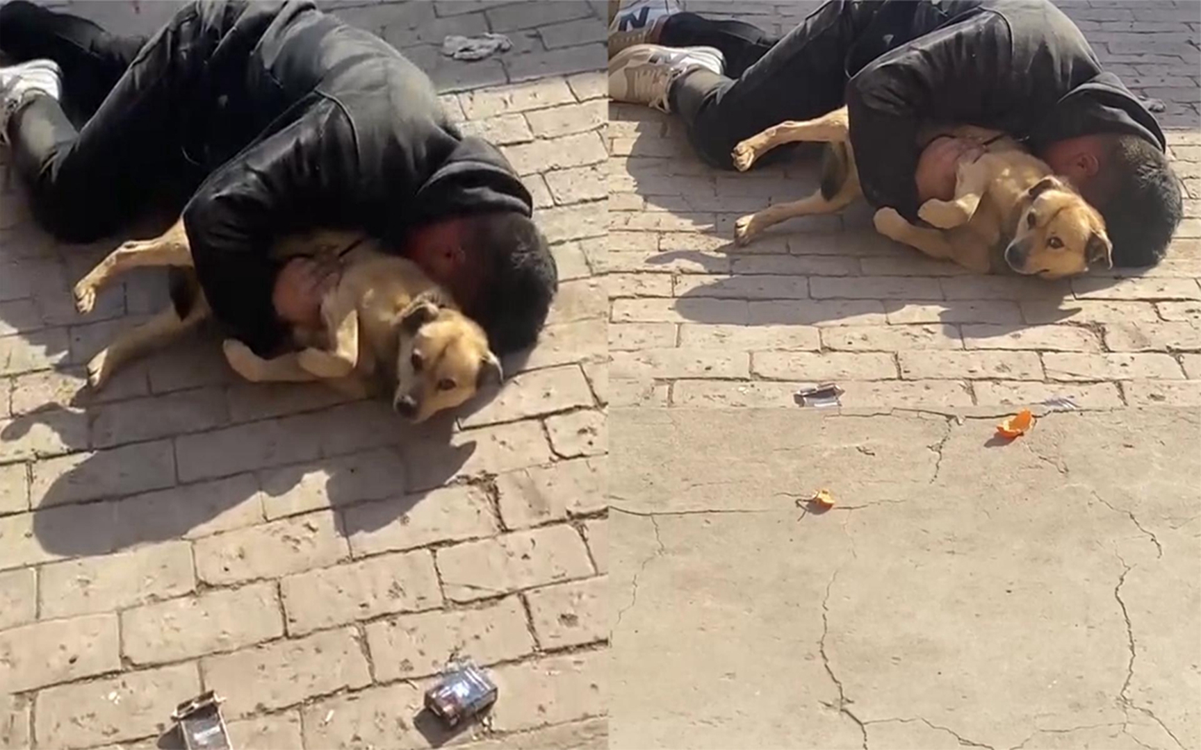 醉酒男子把狗子当成女友,当街抱着睡觉狗子瑟瑟发抖,朋友笑岔气