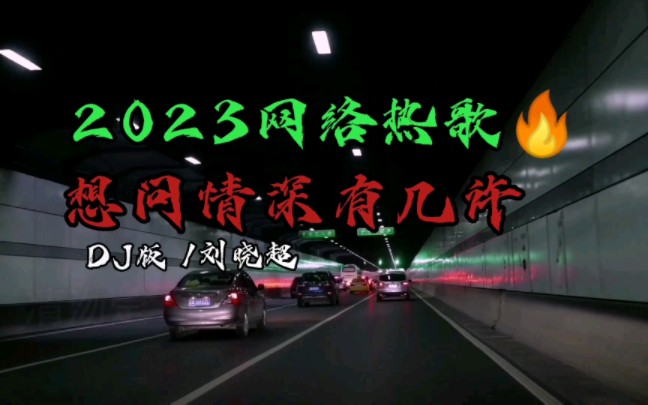 [图]2023网络热歌《想问情深有几许》dj版/刘晓超，歌声伤感又无奈！