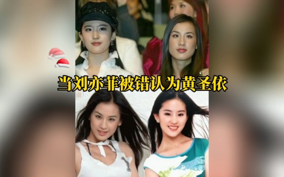 刘亦菲和黄圣依相似度图片
