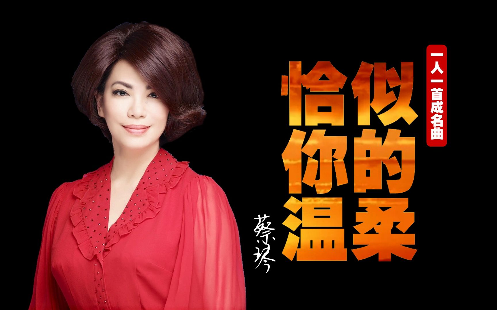 一人一首成名曲:孤单寂寞时唯有浪花来安慰 蔡琴《恰似你的温柔》