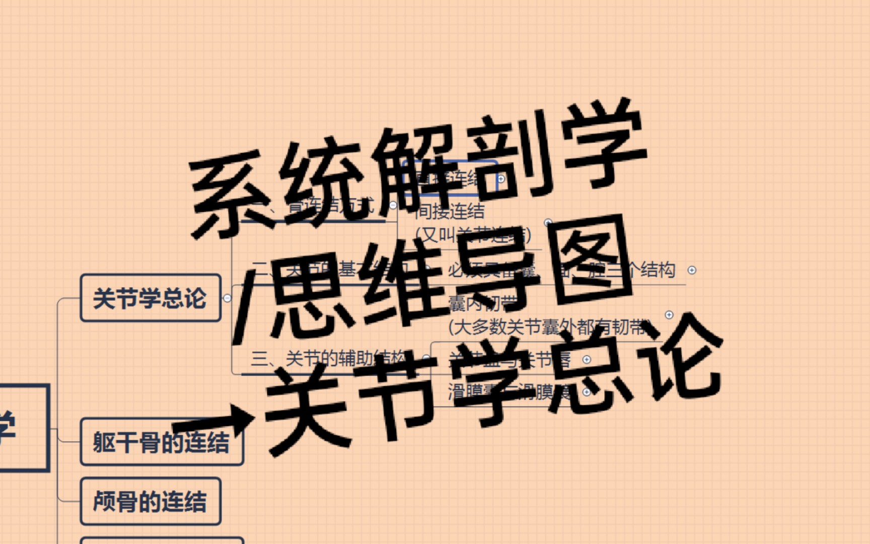 【系统解剖学笔记】关节学总论→系统解剖学/霍琨老师/思维导图哔哩哔哩bilibili