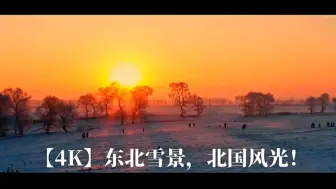 Download Video: 东北雪景，北国风光！