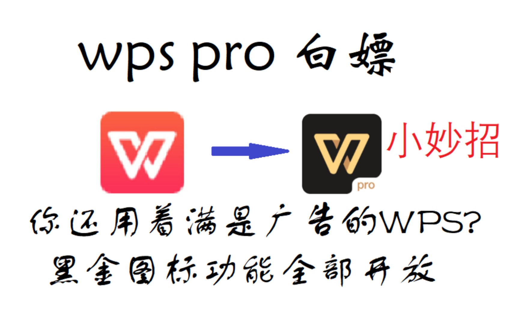 电脑wps黑金图标图片