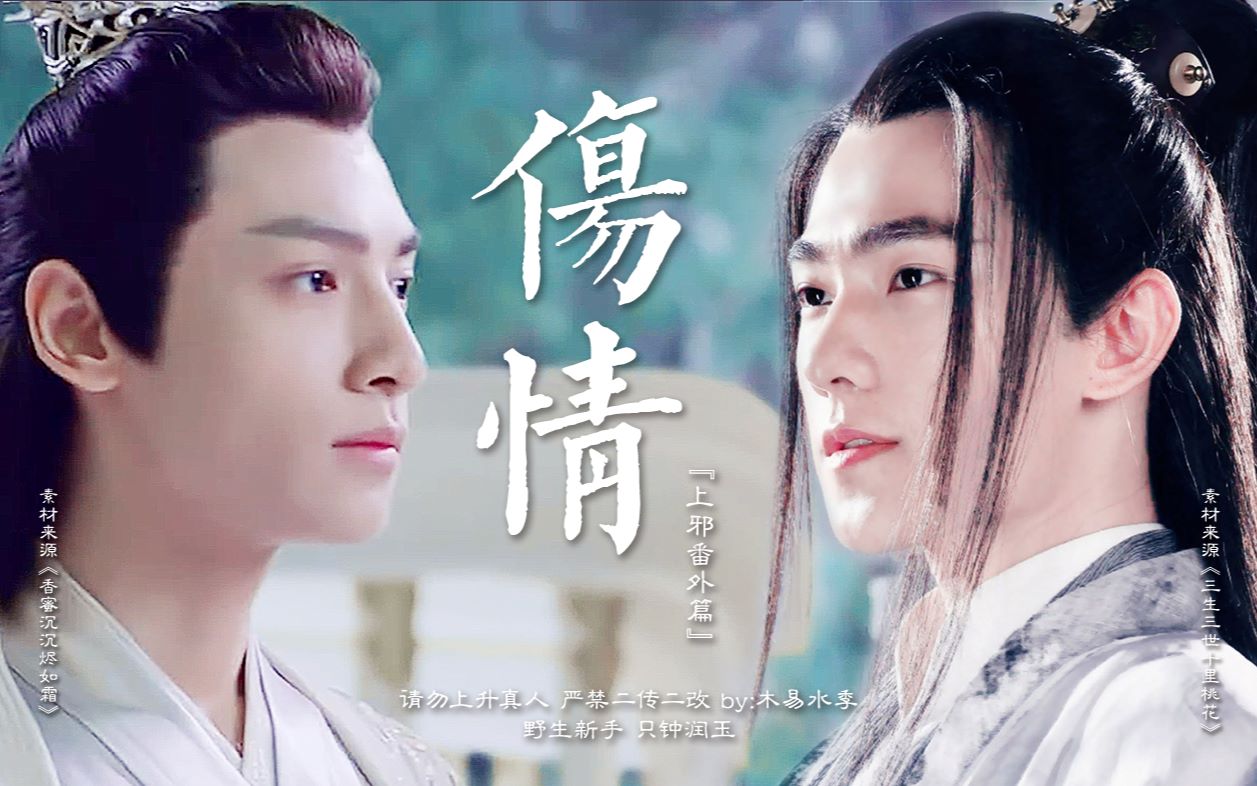 【罗云熙×杨洋丨润玉×夜华】伤情-上邪番外篇