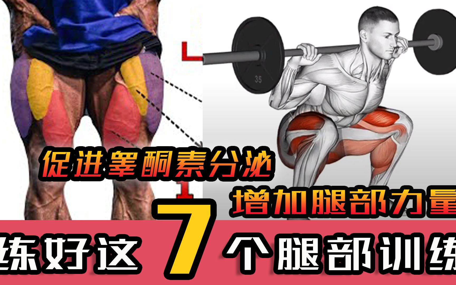 下盘不稳怎能行!7个练腿动作,有效增加腿部力量哔哩哔哩bilibili