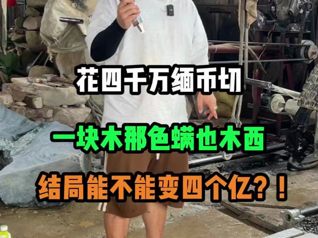 一块木那色蟒也木西,结局能否如愿?哔哩哔哩bilibili