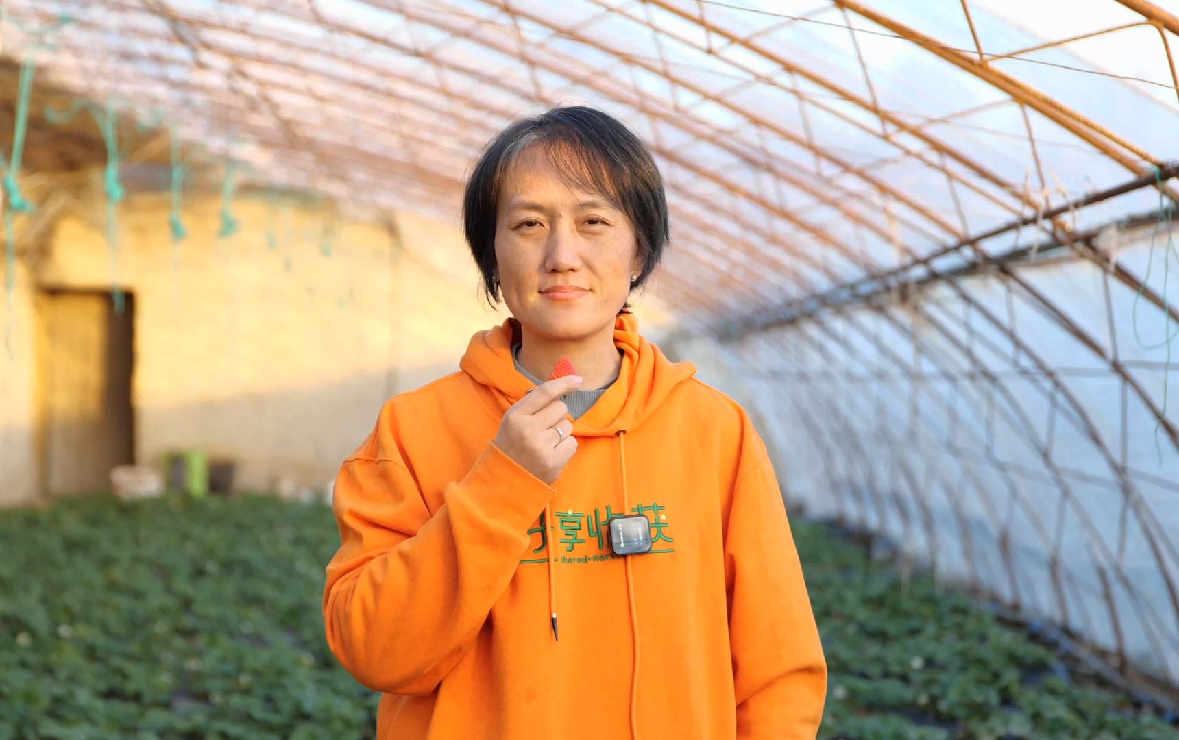 清华才女博士后,北京"分享收获"农场主石嫣倾情推荐本集故事,美丽乡村