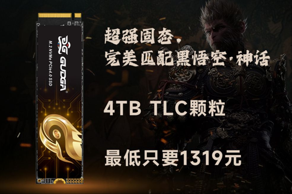 GUDGA/固德佳 GXFPRO系列 PCIe 4.0 长江晶圆TLC颗粒哔哩哔哩bilibili