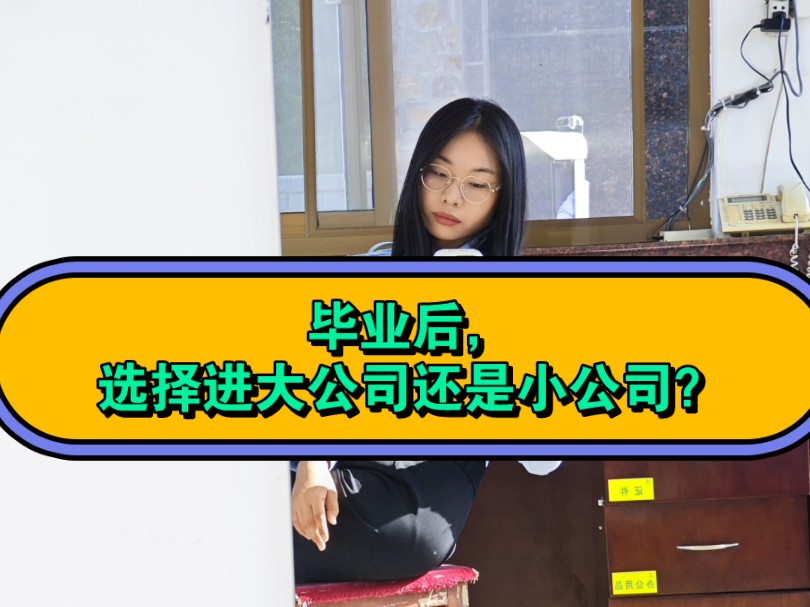 毕业后选择进大公司还是小公司,他们之间有什么区别?对个人成长有什么不同的影响?哔哩哔哩bilibili