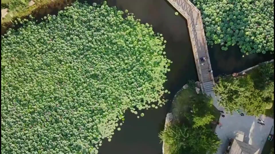 [图]生活中的春夏秋风景