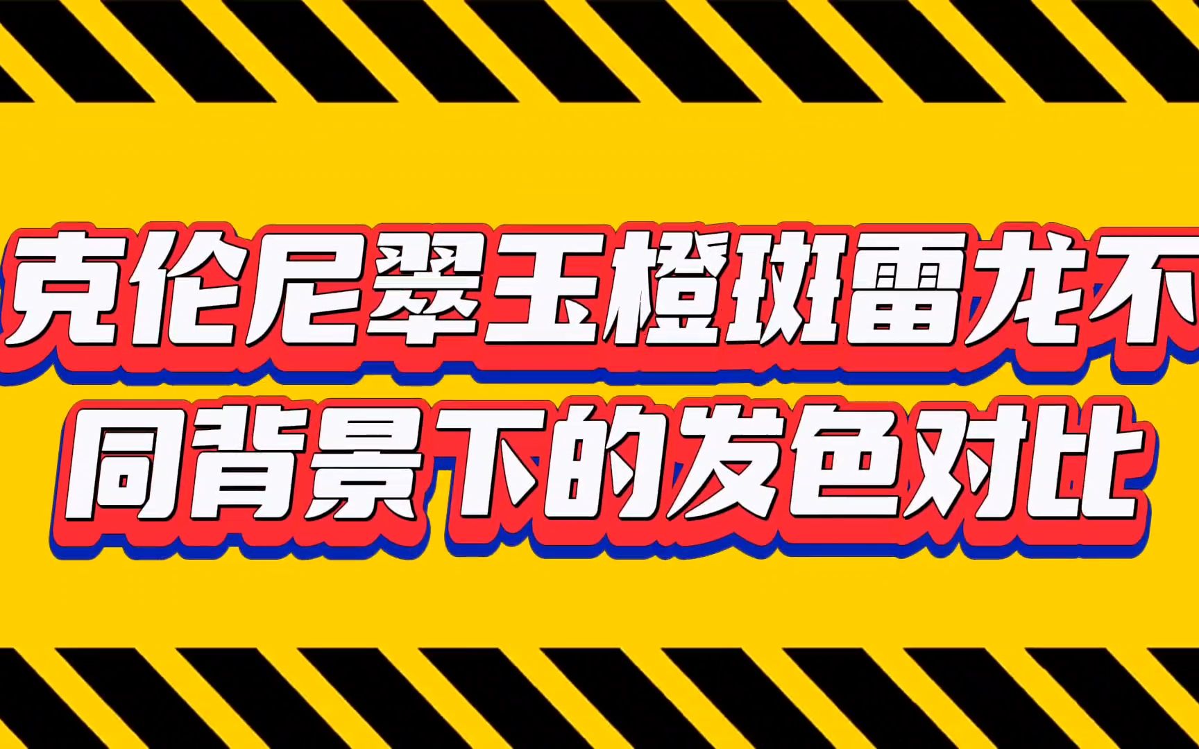 克伦尼翠玉橙斑雷龙在不同背景下的发色对比你知道吗?哔哩哔哩bilibili