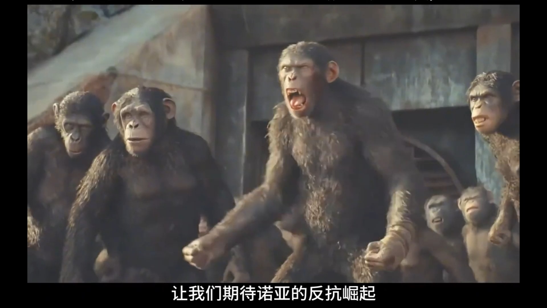 2024【科幻大电影】猩球崛起4新世纪(王国),完整版(电影)无删观看