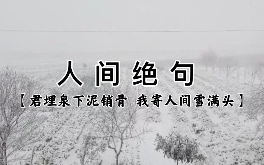 [图]【飞花令—雪】“有雪无诗俗了人”