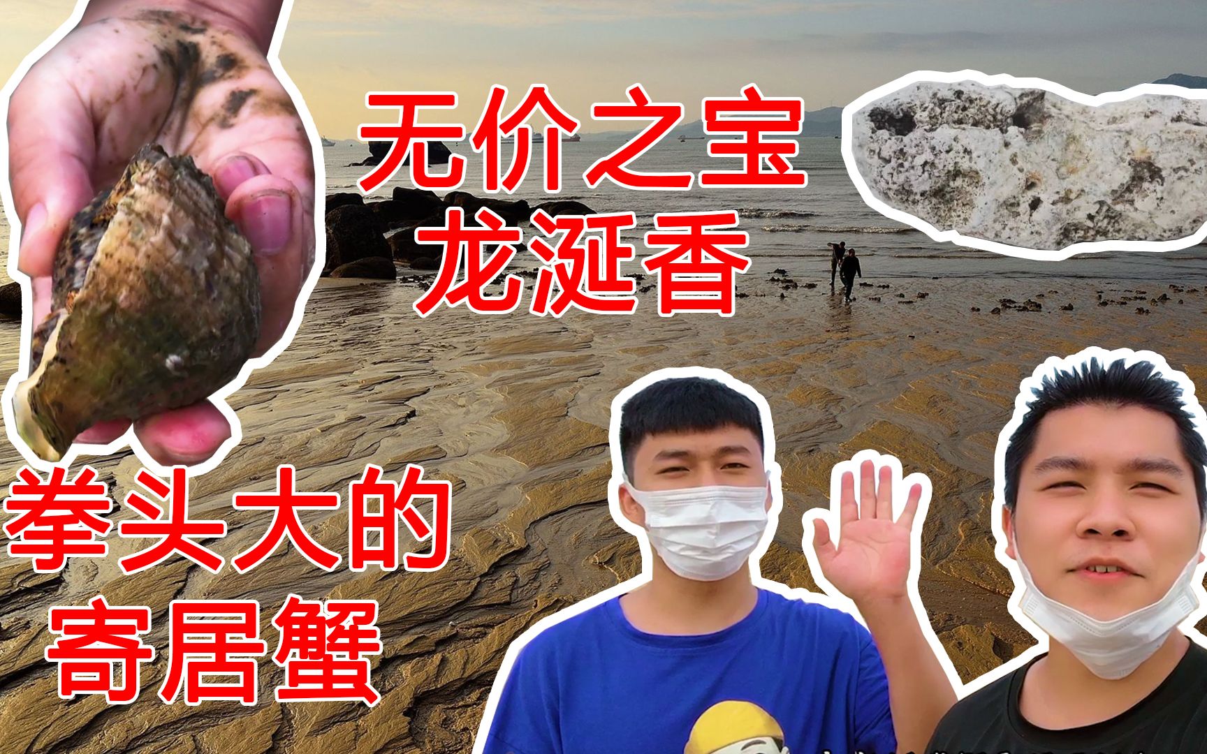 两小伙厦门赶海,抓了满满一桶,捡到一克一万的龙涎香?哔哩哔哩bilibili