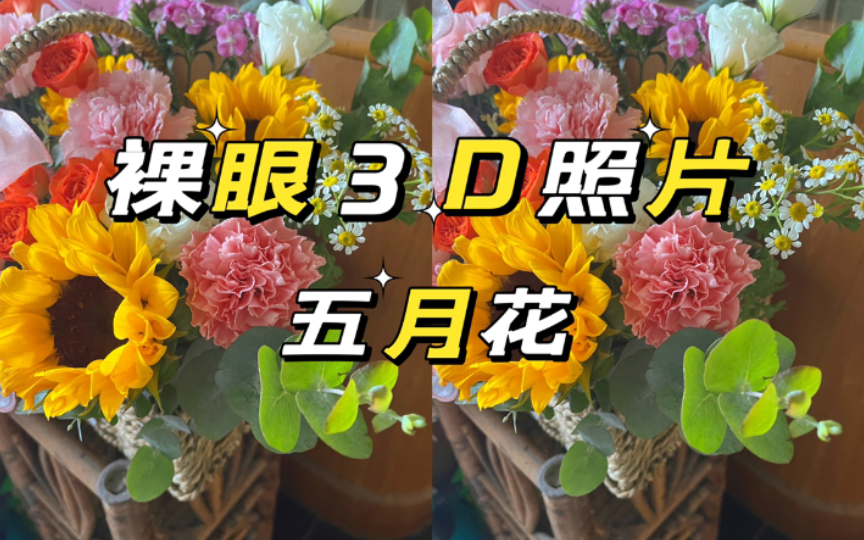 【裸眼3D照片】鲜花欣赏哔哩哔哩bilibili