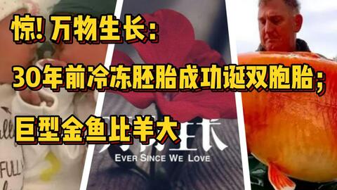 搜索 哔哩哔哩 つロ干杯 Bilibili