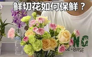 Download Video: 鲜切花如何处理与延长保鲜时间！