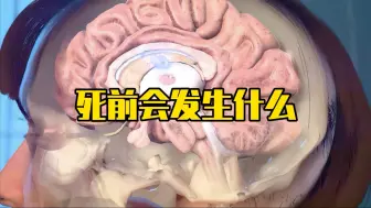 当人临死前会发生什么？