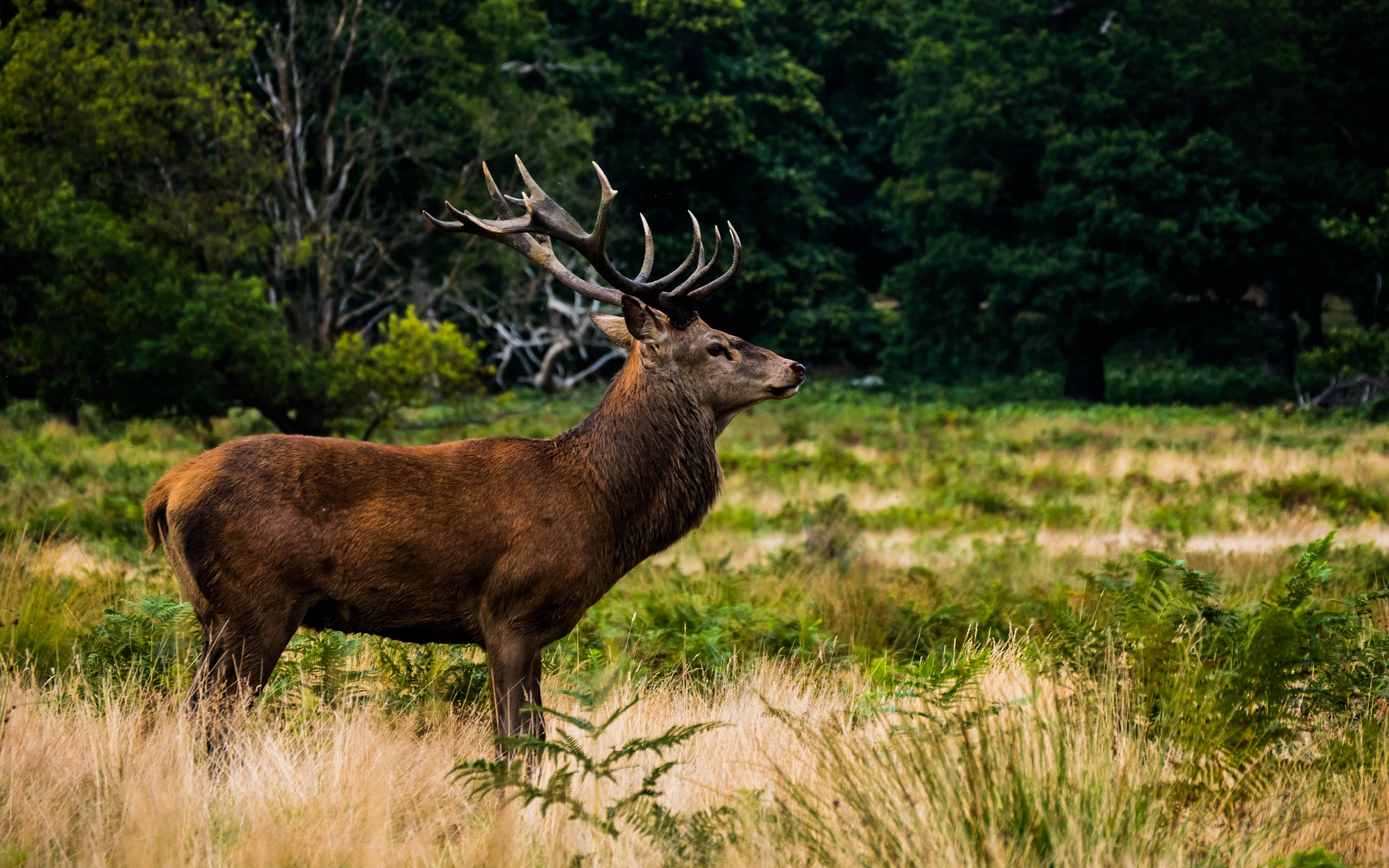 疯猿鸮鸮乐的2019留念(部分瞬间)
