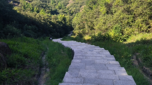 [图]青春就是昏睡与暗恋交织的夏天