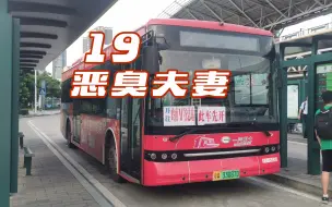 Download Video: 【广州公交】19 路 岭南V谷总站 — 桥中总站 双向恶臭夫妻报站存档