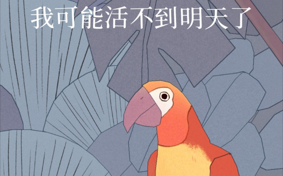 [图]孤独的鸟 bird alone