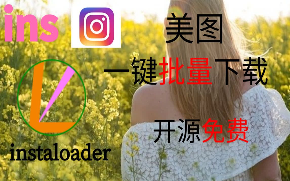 一键批量下载ins照片 | instaloader | 开源免费 | ins照片下载 | No0017哔哩哔哩bilibili