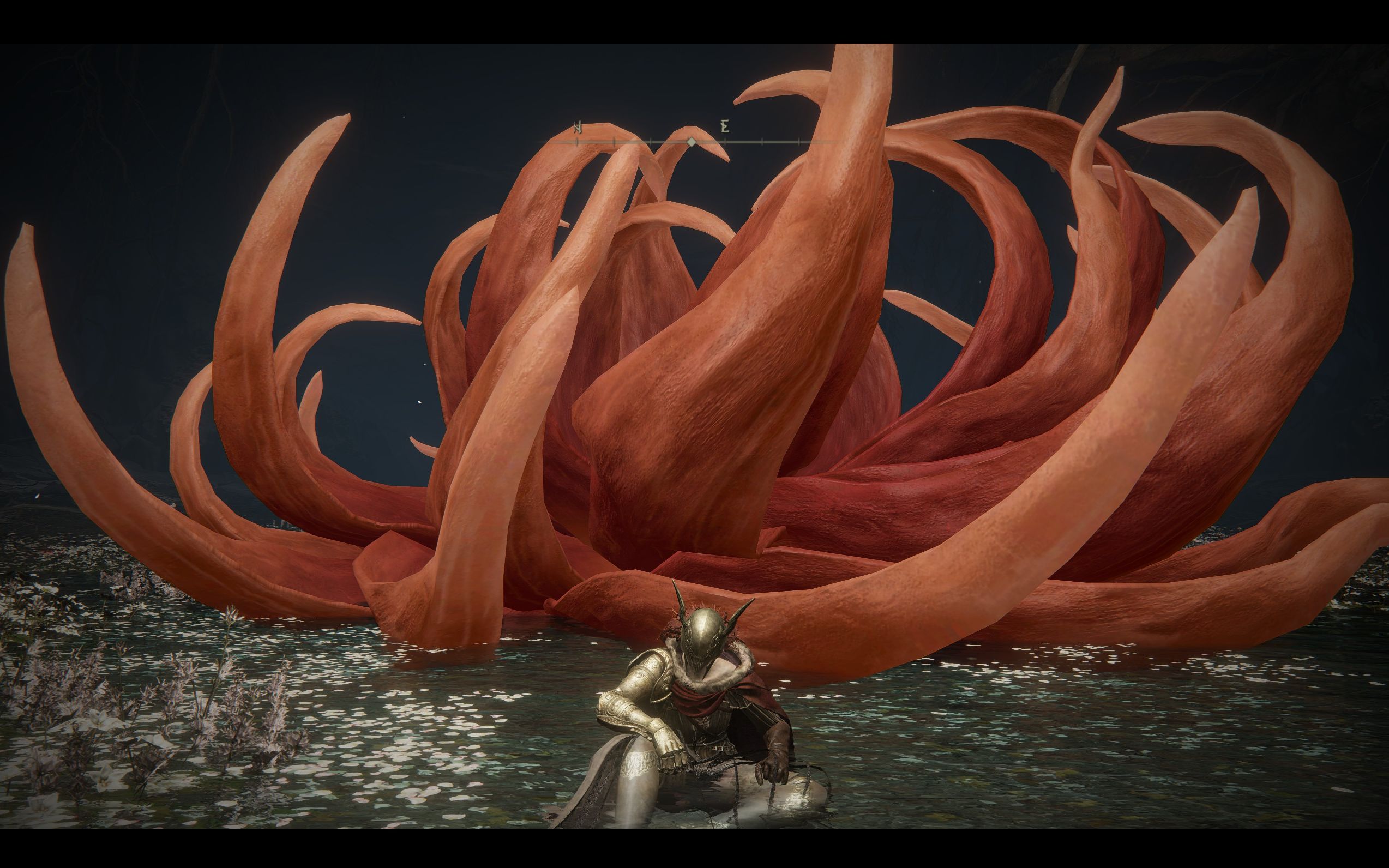 活动作品艾尔登法环1v1裸女大战无伤女武神