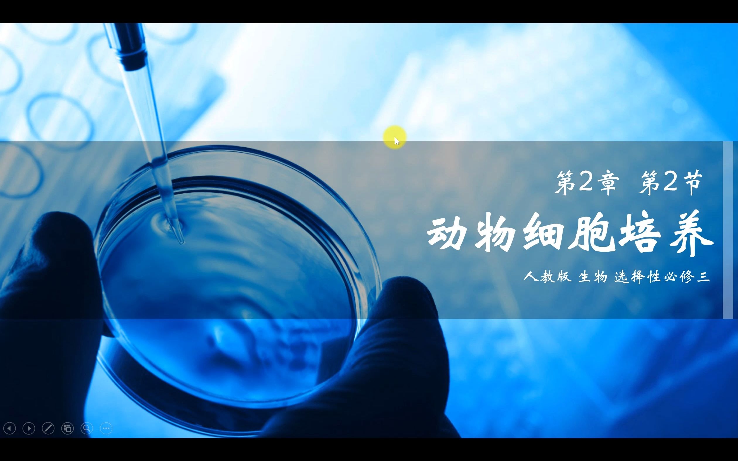 2.1 动物细胞培养